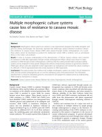 Multiple morphogenic culture systems cause loss of resistance to cassava mosaic disease
