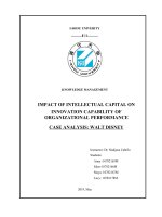 Knowledge-Management-Final-Report-AELM