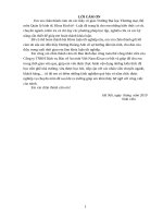 Phát triển kinh doanh dịch vụ bảo vệ của công ty TNHH dịch vụ bảo vệ an ninh việt nam trên thị trường miền bắc 