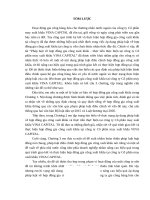 Pháp luật về hợp đồng gia công xuất khẩu  thực tiễn thực hiện tại công ty Cổ phần may xuất khẩu VINA CAPITAL