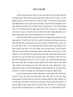 “ Nghiên cứu hình thái lâm sàng, nội soi và đối chiếu với kết quả phẫu thuật của ung thư thanh quản giai đoạn sớm