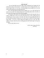 Phát triển kinh doanh dịch vụ bảo vệ của công ty TNHH dịch vụ bảo vệ an ninh việt nam trên thị trường miền bắc 