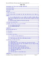 Báo cáo đánh giá tác động môi trường cho dự án đầu tư: Nhà máy sàng tuyển cát nguyên liệu CFG