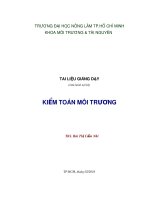 Giáo trình Tài liệu giảng dạy Kiểm toán Môi trường