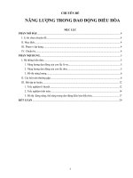 CHUYÊN ĐỀ: NĂNG LƯỢNG TRONG DAO ĐỘNG ĐIỀU HÒA
