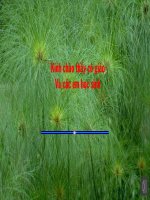 Ngữ Văn 10 Những yêu cầu sử dụng tiếng Việt tiết 1 (1)