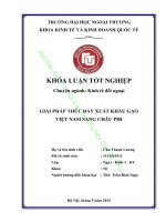 GIẢI PHÁP THÚC đẩy XUẤT KHẨU gạo VIỆT NAM SANG CHÂU PHI 