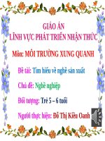 Bài giảng điện tử MTXQ Trò chuyện về 1 số nghề  MG lớn