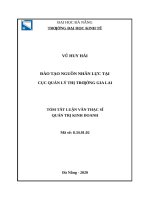 Đào tạo nguồn nhân lực tại cục quản lý thị trường tỉnh gia lai 