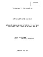 SÁNG KIẾN KINH NGHIỆM BỒI DƯỠNG HỌC SINH GIỎI THÔNG QUA DẠY HỌC PHẦN KIẾN THỨC CƠ SỞ CHUNG HOÁ HỌC 10