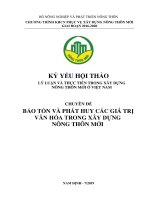 CHUYÊN ĐỀ BẢO TỒN VÀ PHÁT HUY CÁC GIÁ TRỊ VĂN HÓA TRONG XÂY DỰNG NÔNG THÔN MỚI