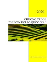 CHUONG TRINH CHUYEN DOI SO QUOC GIA
