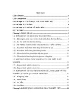 Nghiên cứu độc tính và tác dụng hạ glucose máu của viên Andiabet trên thực nghiệm