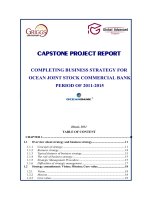 HOÀN THIỆN CHIẾN lược KINH DOANH NGÂN HÀNG TM cổ PHẦN đại DƯƠNG2 