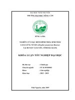 Nghiên cứu đặc điểm hình thái, sinh thái loài gừng núi đá (zingiber purpureum roscoe) tại huyện vị xuyên, tỉnh hà giang 
