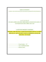 LUẬN văn xây DỰNG CHIẾN lược PHÁT TRIỂN DỊCH vụ THANH TOÁN QUỐC tế tại NGHÂN HÀNG PHÁT TRIỂN VIỆT NAM 