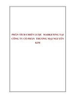 PHÂN TÍCH CHIẾN lược  MARKETING tại CÔNG TY cổ PHẦN  THƯƠNG mại NGUYỄN KIM 