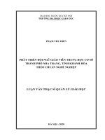 Phát triển đội ngũ giáo viên trung học cơ sở thành phố nha trang, tỉnh khánh hòa theo chuẩn nghề nghiệp 