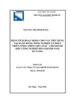 Phân tích hoạt động cho vay tiêu dùng tại ngân hàng nông nghiệp và phát triển nông thôn việt nam – chi nhánh khu công nghiệp hòa khánh nam đà nẵng 