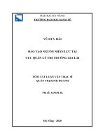 Đào tạo nguồn nhân lực tại cục quản lý thị trường tỉnh gia lai 