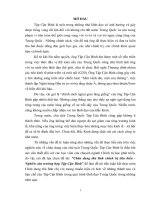 chân dung thủ lĩnh chính trị tiêu biểu  nghiên cứu trường hợp tập cận bình- Tiểu luận cao học