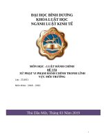 XỬ PHẠT VI PHẠM HÀNH CHÍNH TRONH LĨNH  vực môi TRƯỜNG 