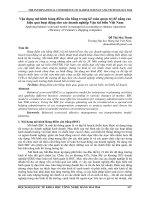 Vận dụng mô hình bảng điểm cân bằng trong kế toán quản trị để nâng cao hiệu quả hoạt động cho các doanh nghiệp Vận tải biển Việt Nam