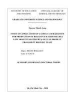 Nghiên cứu ứng dụng bức xạ gamma co 60 để chế tạo b glucan khối lượng phân tử thấp tan trong nước có hoạt tính sinh học từ bã men bia tt tiếng anh 
