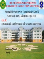 Nghiên cứu mối liên kết trong sản xuất và tiêu thụ của cây trồng 