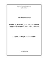Quyền tự do ngôn luận trên internet trong pháp luật và thực tiễn việt nam 