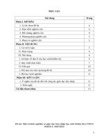 skkn một số kinh nghiệm về giáo dục hòa nhập học sinh khiếm thị ở THCS 