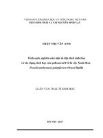 Tinh Sạch, Nghiên Cứu Một Số Đặc Tính Sinh Hóa Và Tác Dụng Sinh Học Của Polisaccarit Từ Lá Cây