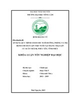 Áp dụng quy trình chăm sóc nuôi dưỡng, phòng và trị bệnh cho đàn lợn thịt nuôi tại trang trại lợn cù xuân thành, phúc yên, vĩnh phúc 