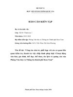 Công tác chủ trì, phối hợp với các cơ quan liên quan kiểm tra, thanh tra việc chấp hành pháp luật về hoạt động văn hóa, gia đình, thể dục, thể thao, du lịch và quảng cáo của phòng văn hóa và thông tin thành phố kon tum 