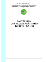 Tổng quan về kinh tế vĩ mô và quy hoạch phát triển kinh tế   xã hội 