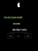 văn hóa doanh nghiệp ảnh hưởng đến công ty apple 