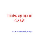 Bài giảng Thương mại điện tử căn bản: Chương 1 - PGS.TS.GVCC Nguyễn Anh Tuấn