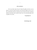 (Luận văn thạc sĩ) Nâng cao chất lượng đội ngũ công chức, viên chức quận nam từ liêm, hà nội 