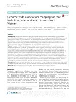 Genome-wide association mapping for root traits in a panel of rice accessions from Vietnam