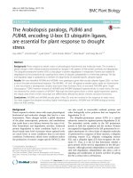 The Arabidopsis paralogs, PUB46 and PUB48, encoding U-box E3 ubiquitin ligases, are essential for plant response to drought stress