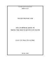 Tòa án hình sự quốc tế trong việc bảo vệ quyền con người 