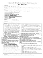 Nội dung ôn tập kiểm tra học kỳ 2 môn Tiếng Anh lớp 12