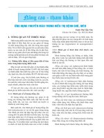 Ứng dụng truyền máu trong điều trị bệnh chó, mèo