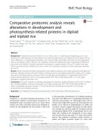 Comparative proteomic analysis reveals alterations in development and photosynthesis-related proteins in diploid and triploid rice