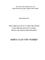 PHÁT TRIỂN sản XUẤT và TIÊU THỤ THANH LONG TRÊN địa bàn xã vân TRỤC, HUYỆN lập THẠCH, TỈNH VĨNH PHÚC 