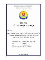 THỰC TRẠNG CÔNG tác AN TOÀN vệ SINH LAO ĐỘNG và ĐÁNH GIÁ rủi RO TRONG VIỆC sản XUẤT PIN tại CÔNG TY cổ PHẦN PIN hà nội 