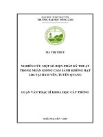 Nghiên cứu một số biện pháp kỹ thuật trong nhân giống cam sành không hạt lđ6 tại hàm yên, tuyên quang 