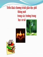 Triển khai chương trình giáo dục phổ thông mới  trong các trường trung học cơ sở
