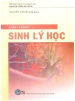 Giáo trình sinh lý học   nguyễn văn tư 
