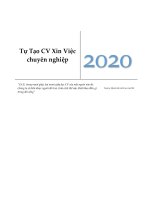 Hướng dẫn tự tạo CV xin việc chuyên nghiệp